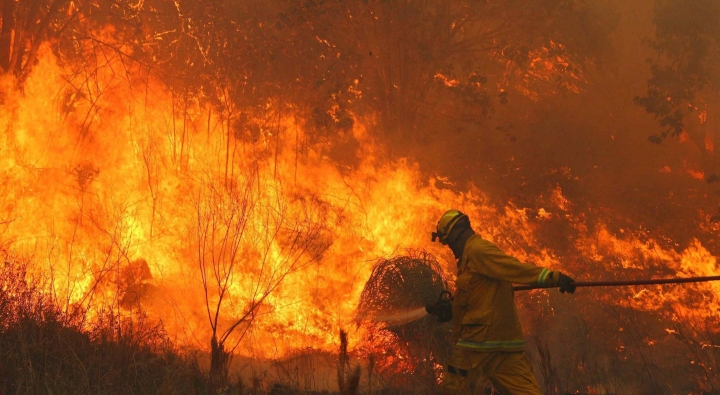 "Estos incendios son provocados por la mano del hombre", Guillermo Galliano