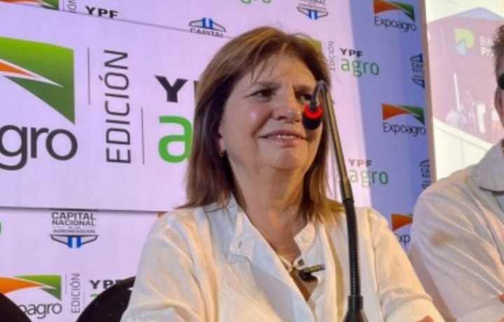 Bullrich apuntó contra Cristina Kirchner: "La Justicia la persigue porque se la llevaron toda"