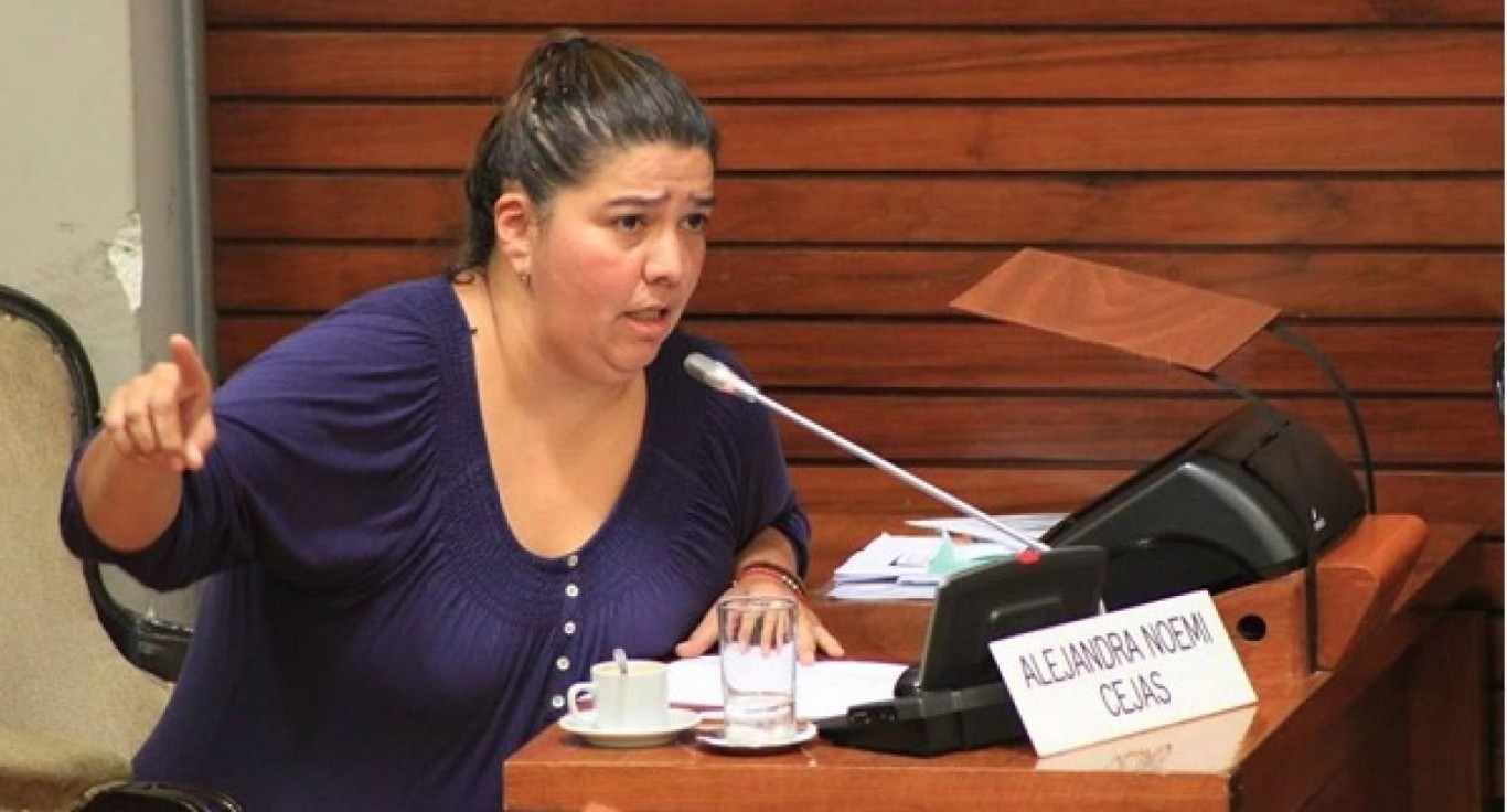 Alejandra Cejas: "Morales nos hizo volver a la dictadura"