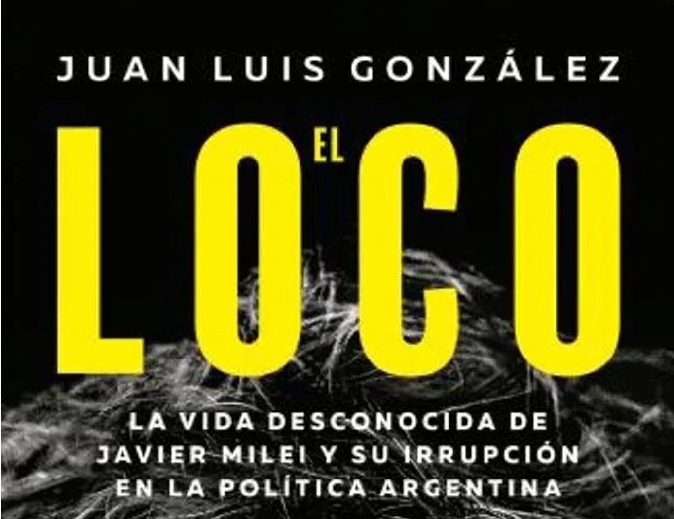 Juan Luis González: "Se me hizo difícil no empatizar con Milei al hacer el libro"