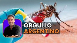 Test r&aacute;pido de dengue: El desarrollo del CONICET que sobrevive a los recortes