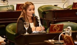 Carolina Macarrein: “Una vez más un padre manda a ocuparse a la madre por el tema discapacidad”