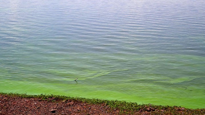 Ricardo Teijeiro: "La mayoría de los ríos que están en las cercanías de las grandes urbes tienen contaminación y se incrementa más cuando hay menor cantidad de agua y altas temperaturas”