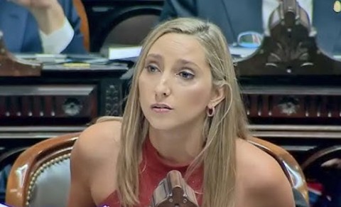 Julia Strada: “Si a Milei lo engañaron como dice, debería haber iniciado la denuncia"