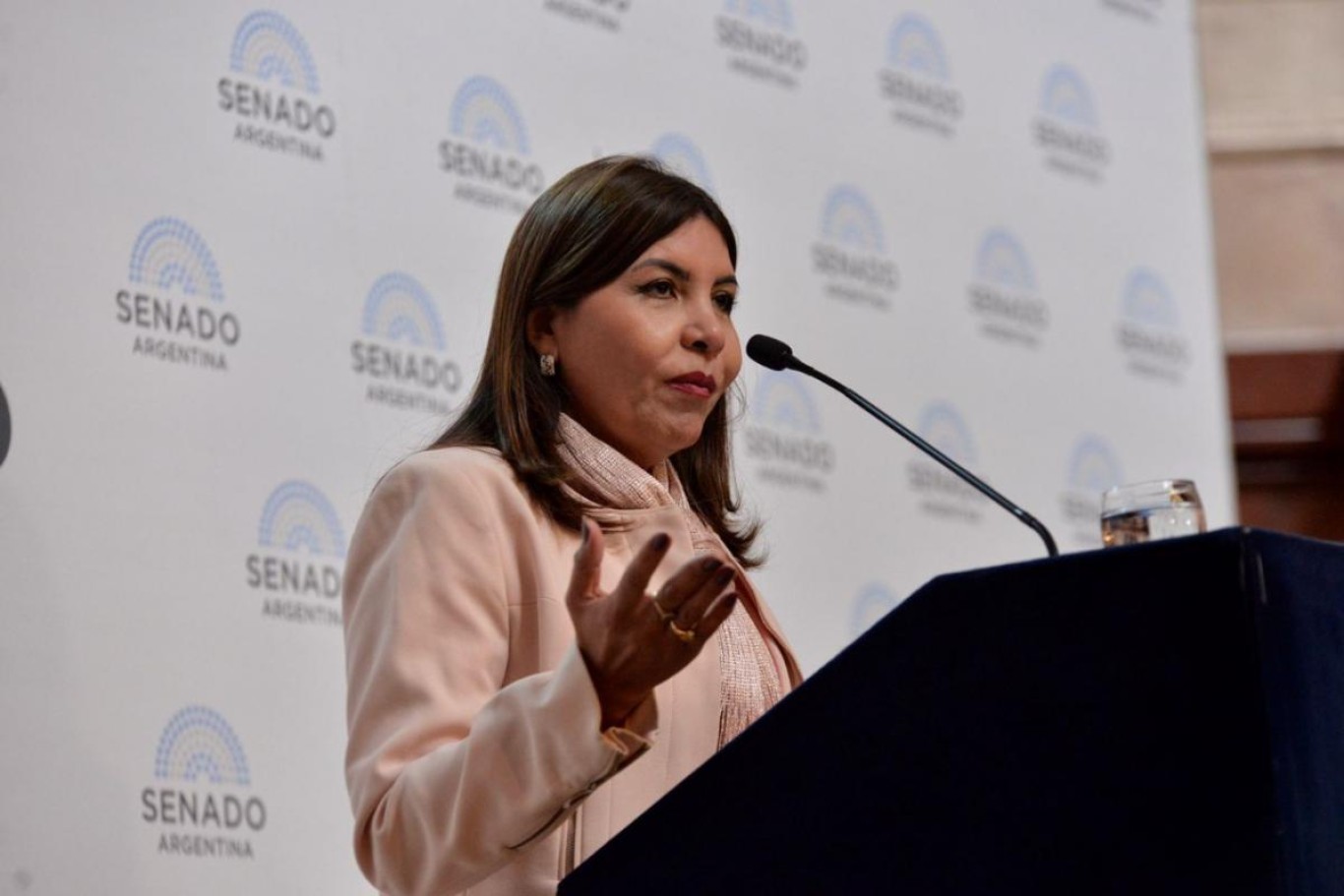 Sandra Mendoza: "Mi provincia es del norte, es pobre, y necesitábamos los recursos".