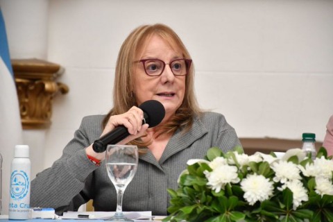 Alicia Kirchner: "Las provincias, tenemos que tener políticas diferenciadas para tener un crecimiento armónico y equilibrar el desarrollo desigual"