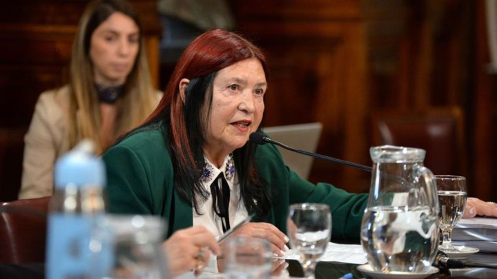 Ana María Figueroa: “Es por género fundamentalmente que yo cese mis funciones”