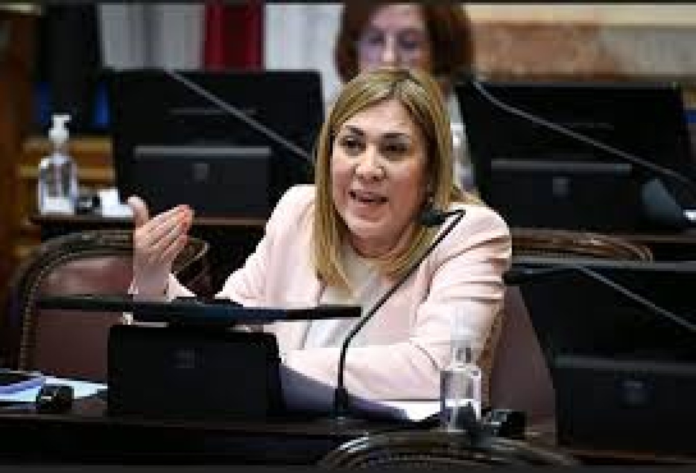 Beatriz Luisa Ávila: “Logramos finalmente el dictamen y esperamos al miércoles para aprobar la ley”