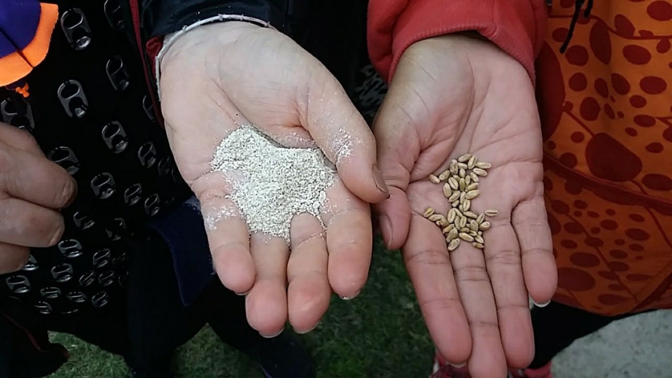 Josefina Galán: "Hace tiempo venimos trabajando en la producción de harina agroecológica"