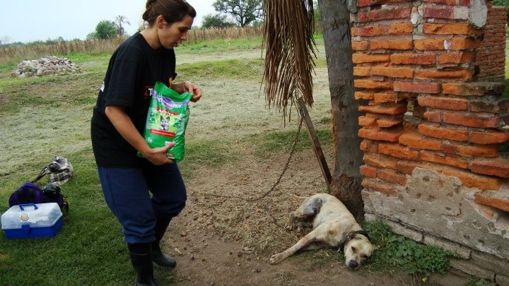 Ivana Acevedo: "En el mundo van desapareciendo los zoológicos y acá seguimos con esta mala práctica"