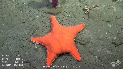 Mariano Mart&iacute;nez: "La gente est&aacute; interesada en ver contenido cient&iacute;fico"