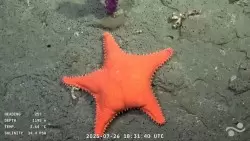 Mariano Mart&iacute;nez: "La gente est&aacute; interesada en ver contenido cient&iacute;fico"