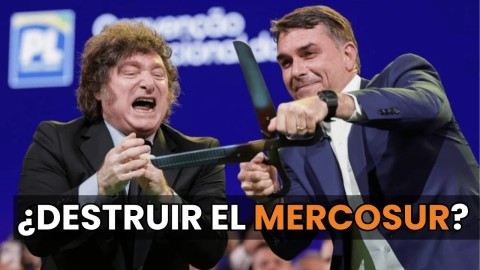 Ricardo Alfonsín: "Javier Milei nos está avergonzando en el mundo"