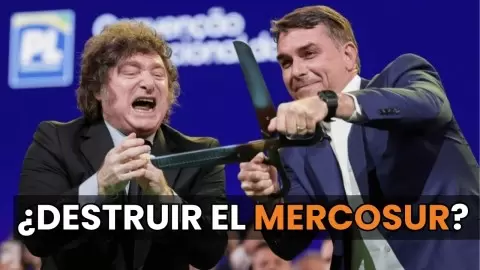 Ricardo Alfonsín: "Javier Milei nos está avergonzando en el mundo"