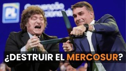 Ricardo Alfons&iacute;n: "Javier Milei nos est&aacute; avergonzando en el mundo"