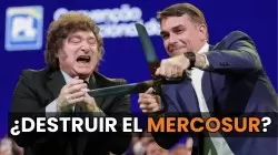 Ricardo Alfons&iacute;n: "Javier Milei nos est&aacute; avergonzando en el mundo"