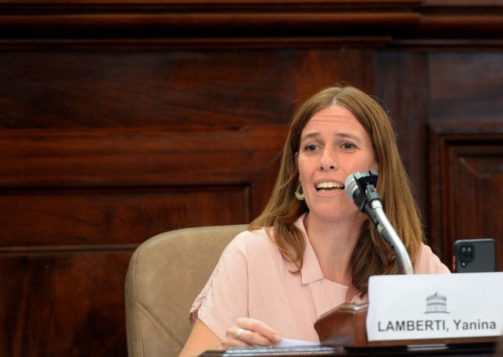 "Hoy es el 'Pata' Medina pero mañana puede ser cualquiera que se interponga con lo que ellos quieren", Yanina Lamberti