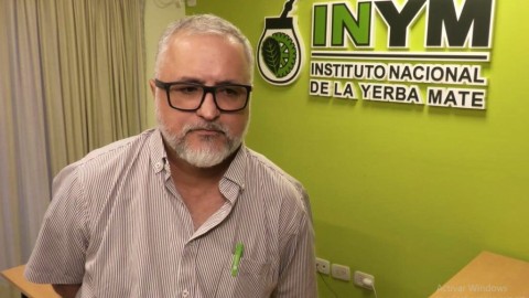 Marcelo Hacklander: &quot;Hubo un leve aumento en las exportaciones de yerba&quot;