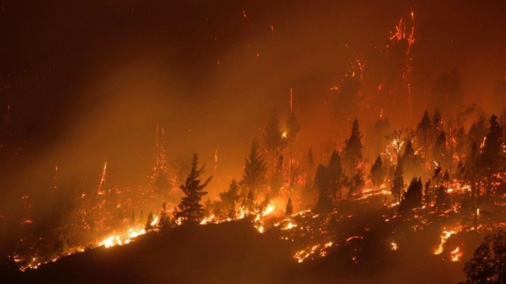 "El fuego continúa de manera subterránea, las temperaturas se elevan y esperamos nuevos focos para el viernes y sábado" Carola Salguero