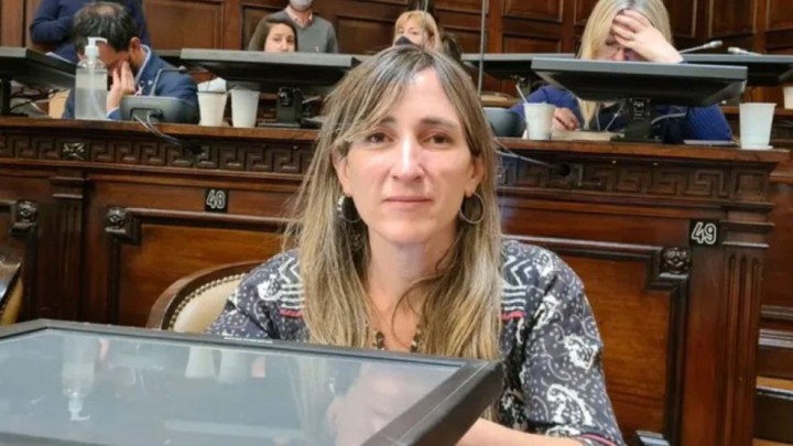 Mercedes Llano: "El tema de las ganancias es por las provincias que no equilibraron la crisis y herencia del anterior Gobierno"